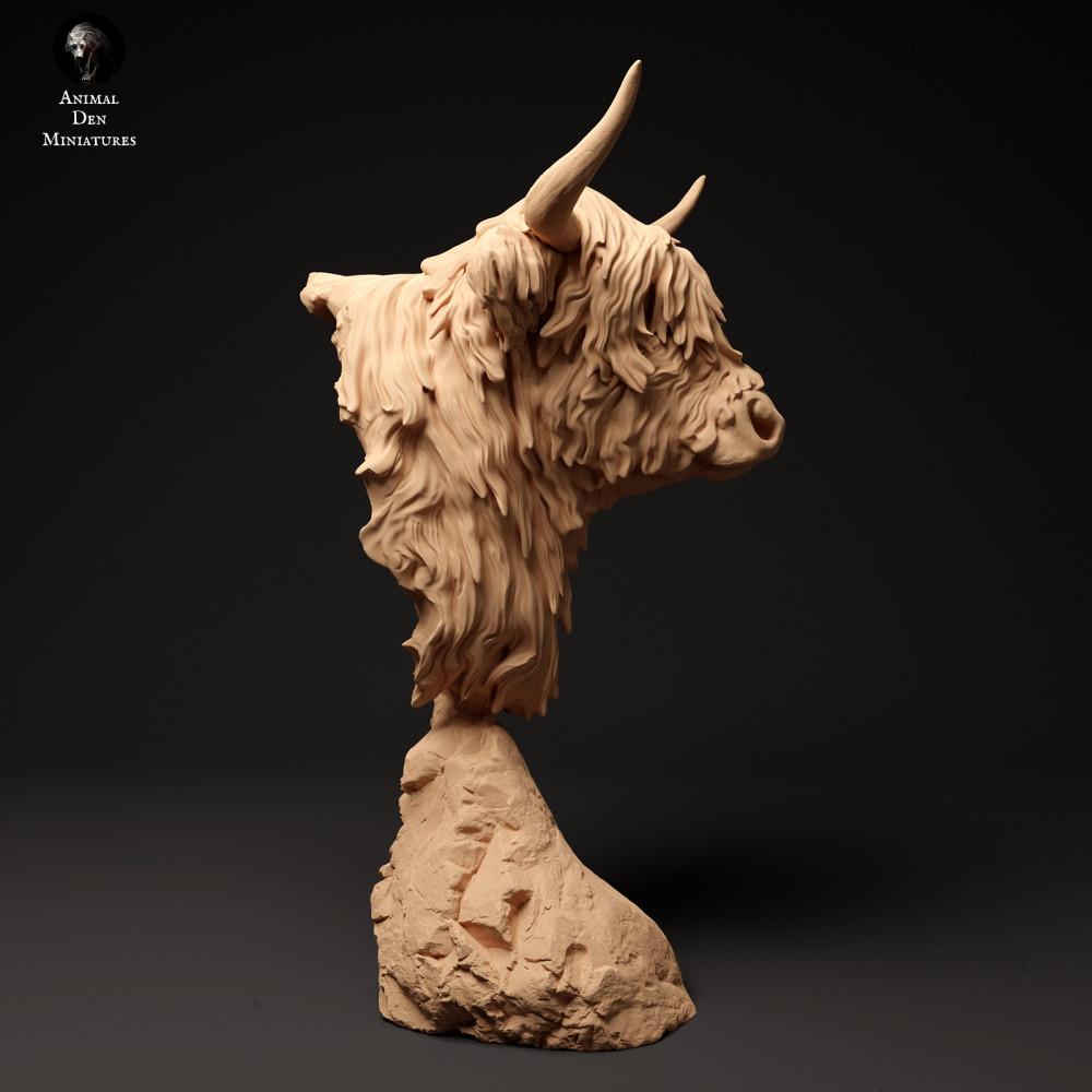 Photo du produit figurine animale Animal Den Miniatures 1 : figurine animale de ferme : bovin Highland écossais - buste (24_01_60)