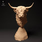 Photo du produit, figurine animale Animal Den Miniatures 2 : figurine d’animal de ferme : vache Highland écossaise - buste (24_01_60)