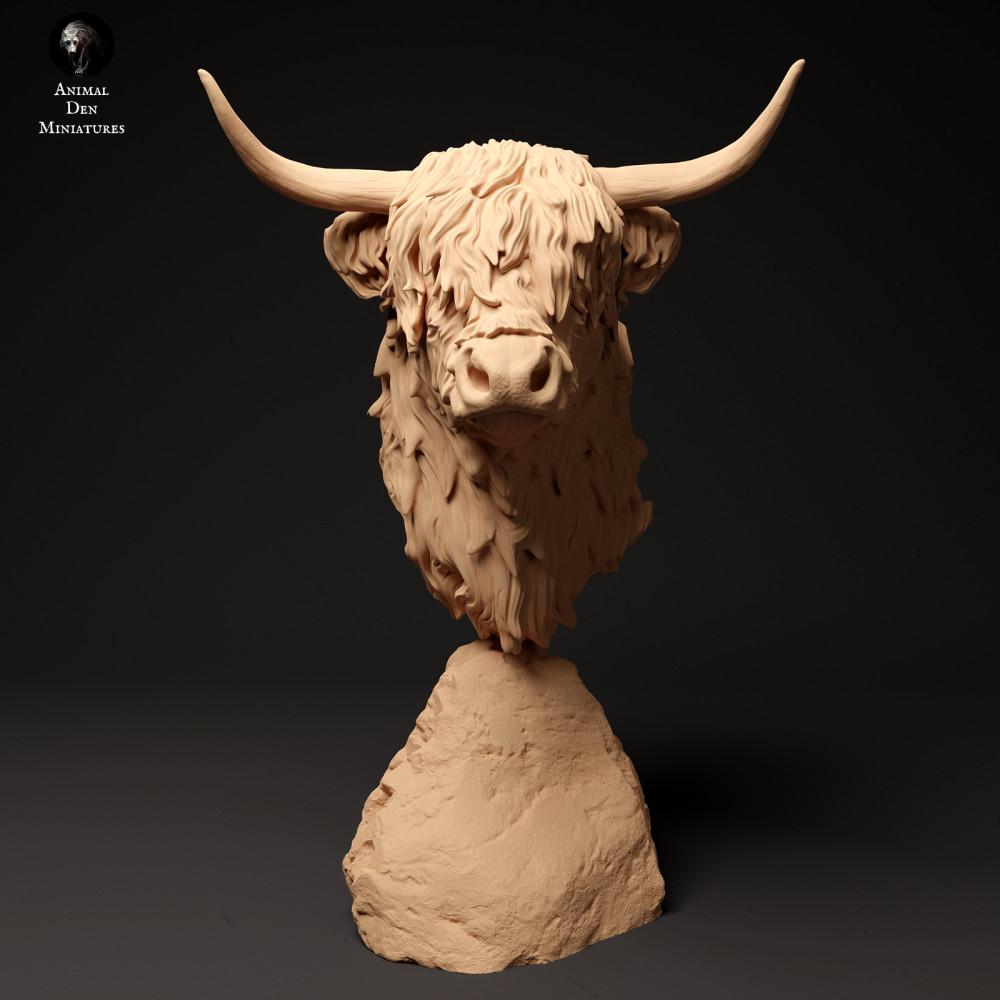 Photo du produit, figurine animale Animal Den Miniatures 2 : figurine d’animal de ferme : vache Highland écossaise - buste (24_01_60)