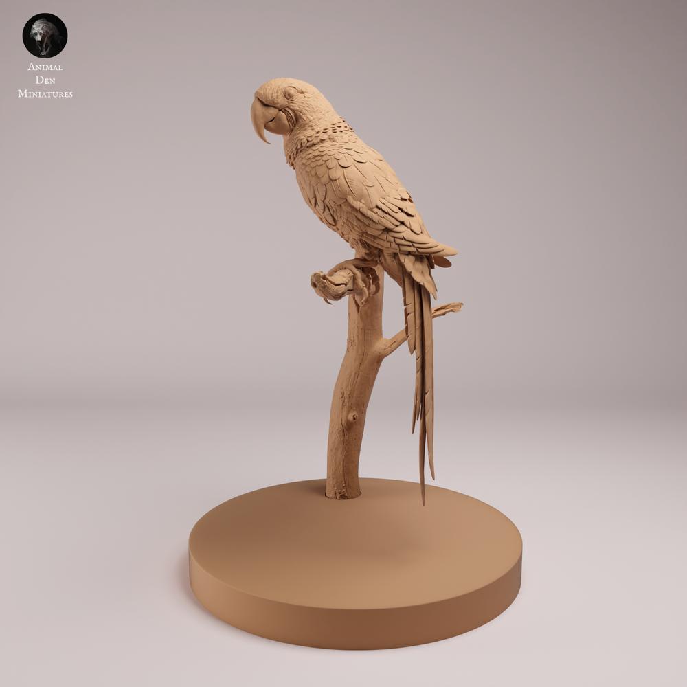Photo produit figurine animale Animal Den Miniatures 0 : oiseau, figurine animale : ara hyacinthe (26_08_05)