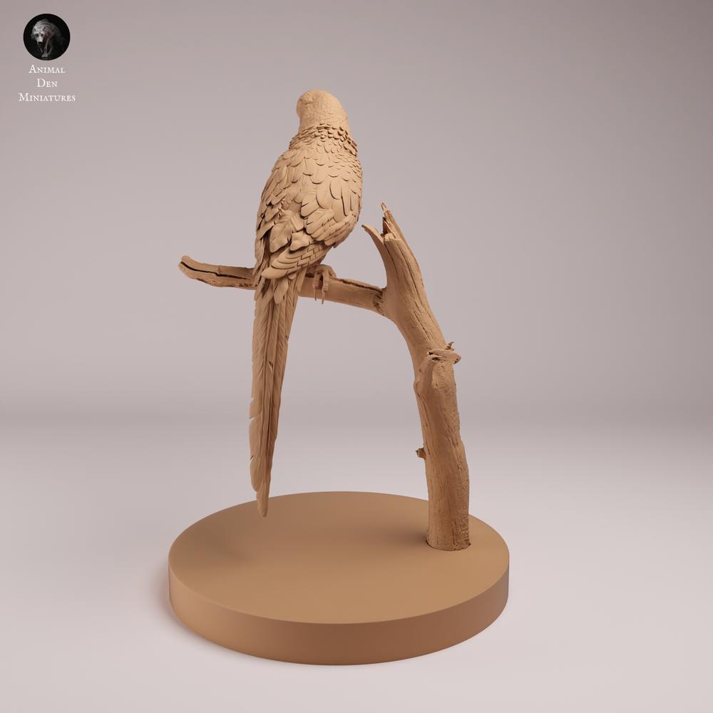 Photo produit figurine animale Animal Den Miniatures 1 : oiseau : ara hyacinthe (26_08_05)