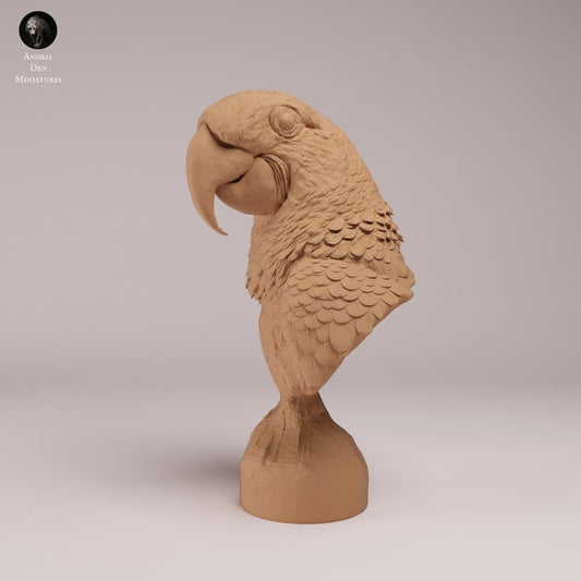 Photo du produit figurine animale Animal Den Miniatures 0 : figurine animale oiseau : Ara hyacinthe - buste (26_08_07)