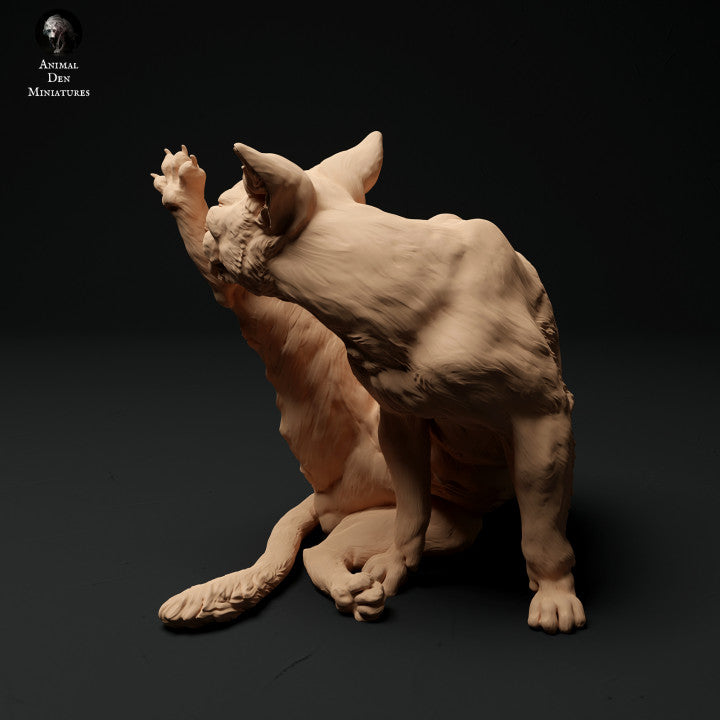 Figur d'animal de compagnie : chat se toilettant (a001)