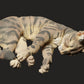 Photo de produit Figurine d'animal Diorama, modélisme : 0 : Figurine d'animal de compagnie : chat endormi