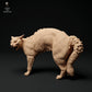 Photo de produit Figurine d'animal Diorama, Modélisme : 0 : Figurine d'animal de compagnie : Chat en train de se hérisser