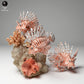 Photo produit figurine animale Animal Den Miniatures 2 : figurine animale marine : poisson-lion (24_06_08)