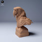 Photo de produit figurine animale Animal Den Miniatures 0 : Figurine animale de la jungle : Ara rouge - Buste (24_04_08)