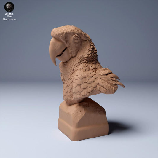 Photo de produit figurine animale Animal Den Miniatures 0 : Figurine animale de la jungle : Ara rouge - Buste (24_04_08)