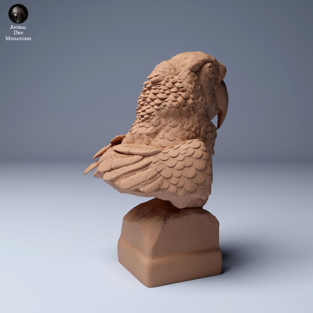 Photo produit figurine animale Animal Den Miniatures 1 : figurine animale de jungle : Ara rouge - Buste (24_04_08)