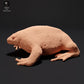 Photo produit figurine animale Animal Den Miniatures 0 : Figurine animale amphibien : Crapaud fouisseur mexicain (23_09_17)