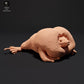 Photo produit 0 : Figurine d’amphibien : crapaud fouisseur mexicain - coassant (23_09_04)