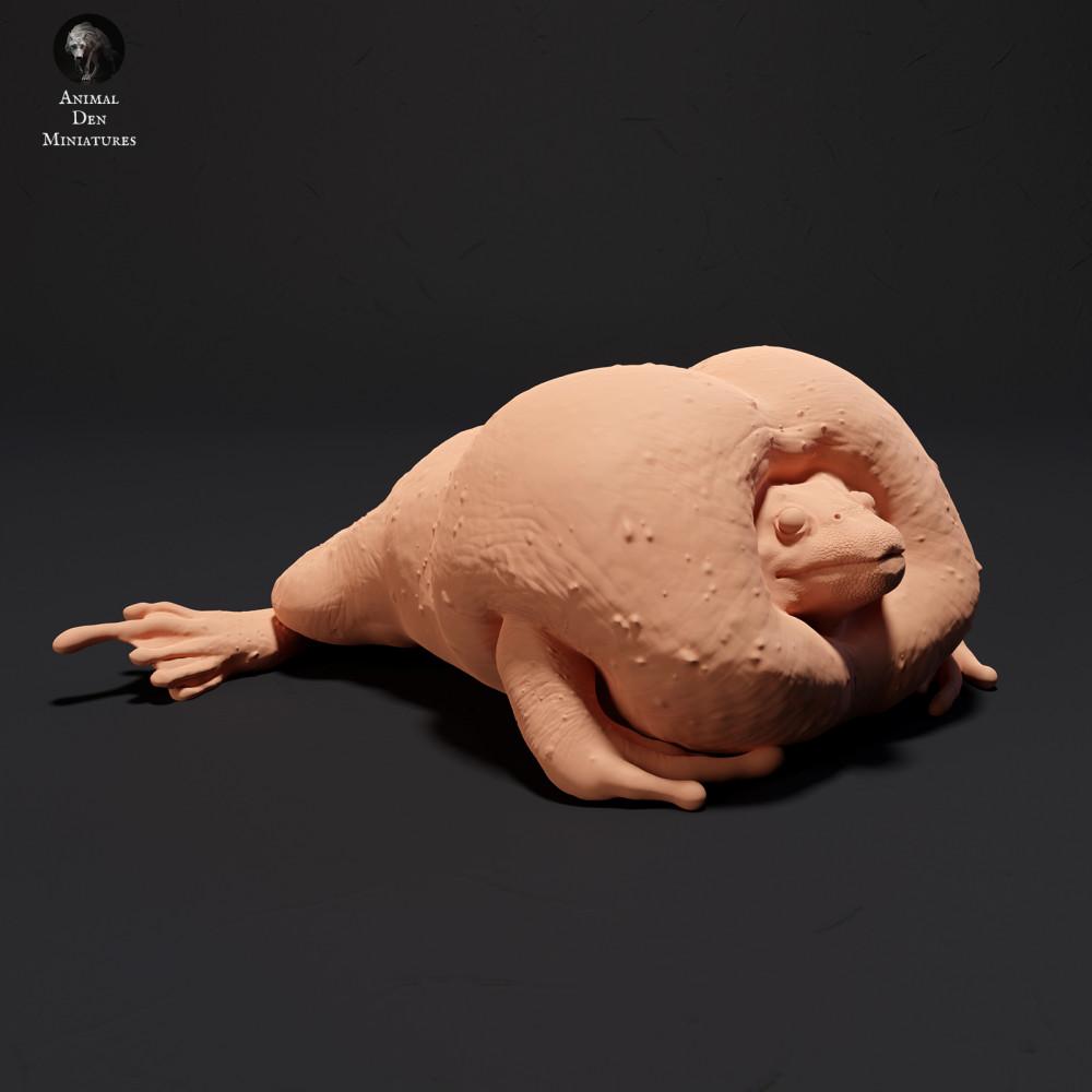 Photo produit 0 : Figurine d’amphibien : crapaud fouisseur mexicain - coassant (23_09_04)