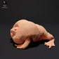 Photo du produit 1 : figurine d’amphibien : crapaud fouisseur mexicain - coassant (23_09_04)