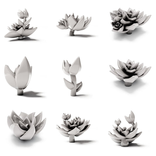 MyPortal Studios set 12: vue d’ensemble du set sur fond blanc