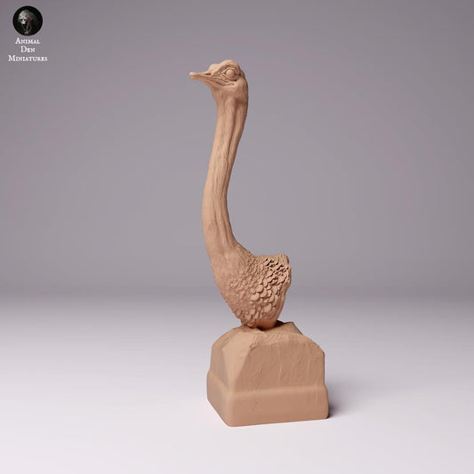 Photo de produit figurine animale Animal Den Miniatures 0 : figurine d’animal sauvage : autruche nord-africaine - buste (24_07_10)