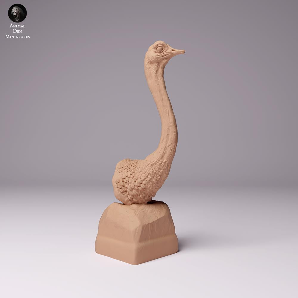 Photo produit figurine animale Animal Den Miniatures 1 : Figurine animal sauvage : Autruche nord-africaine - Buste (24_07_10)