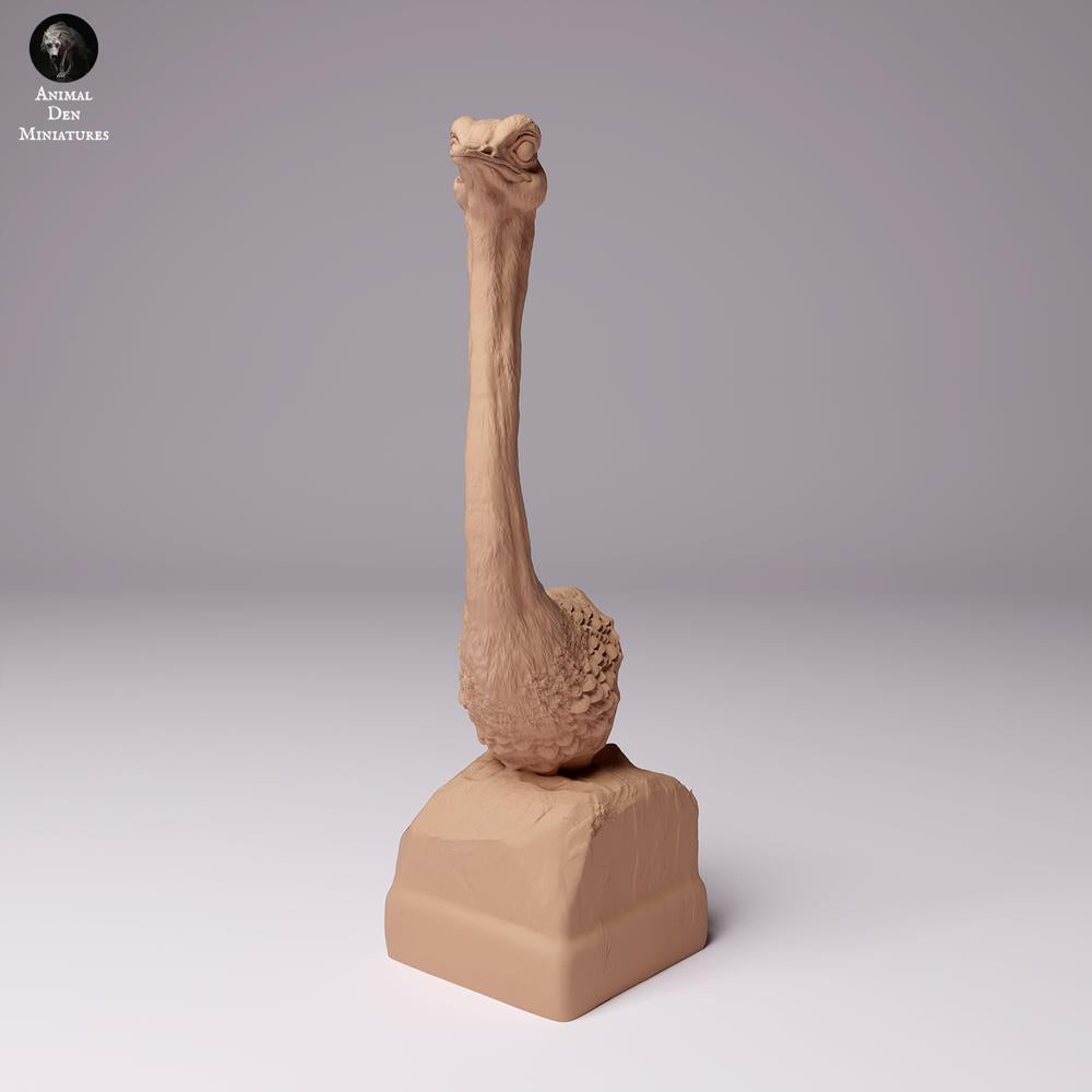 Photo du produit figurine animale Animal Den Miniatures 2 : figurine d’animal sauvage : autruche nord-africaine - buste (24_07_10)