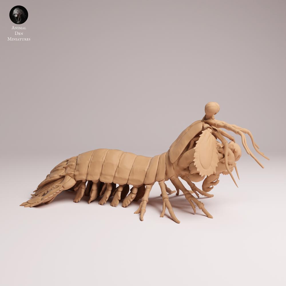 Photo du produit 0 : figurine animale marine : crevette-mante paon (25_10_02)
