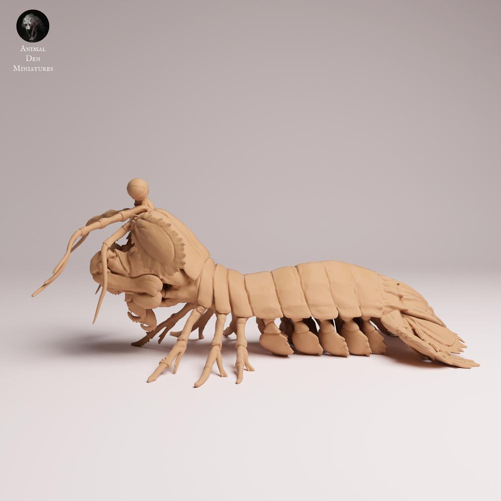 Photo produit 1 : figurine d’animal marin : crevette-mante paon (25_10_02)