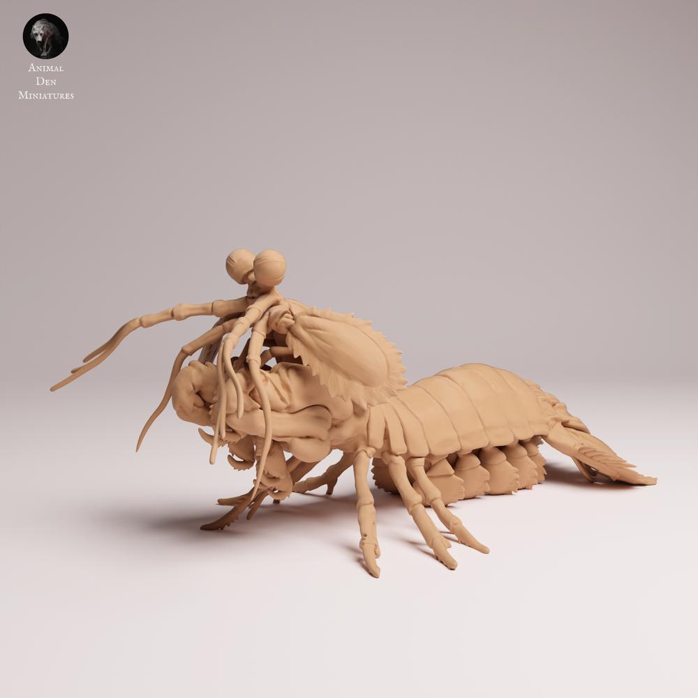 Photo produit 2 : figurine d’animal marin : crevette-mante paon (25_10_02)