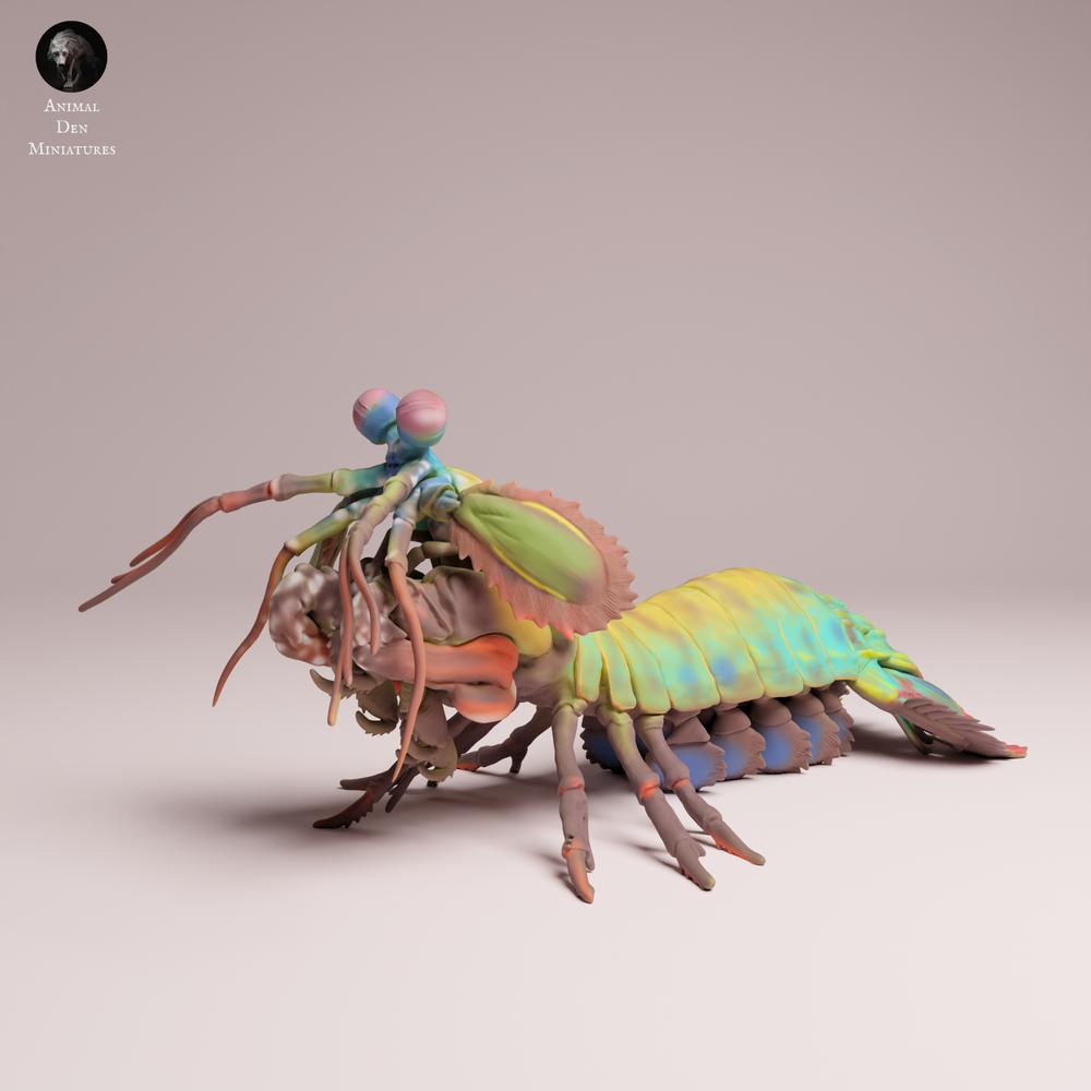 Photo produit 3 : figurine animale marine : crevette-mante paon (25_10_02)