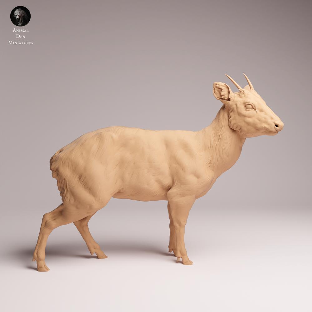 Photo de produit Tabletop 28mm Lord of the Print (LotP) 1 : Figurine d'animal sauvage : Pudu - debout (26_01_09)