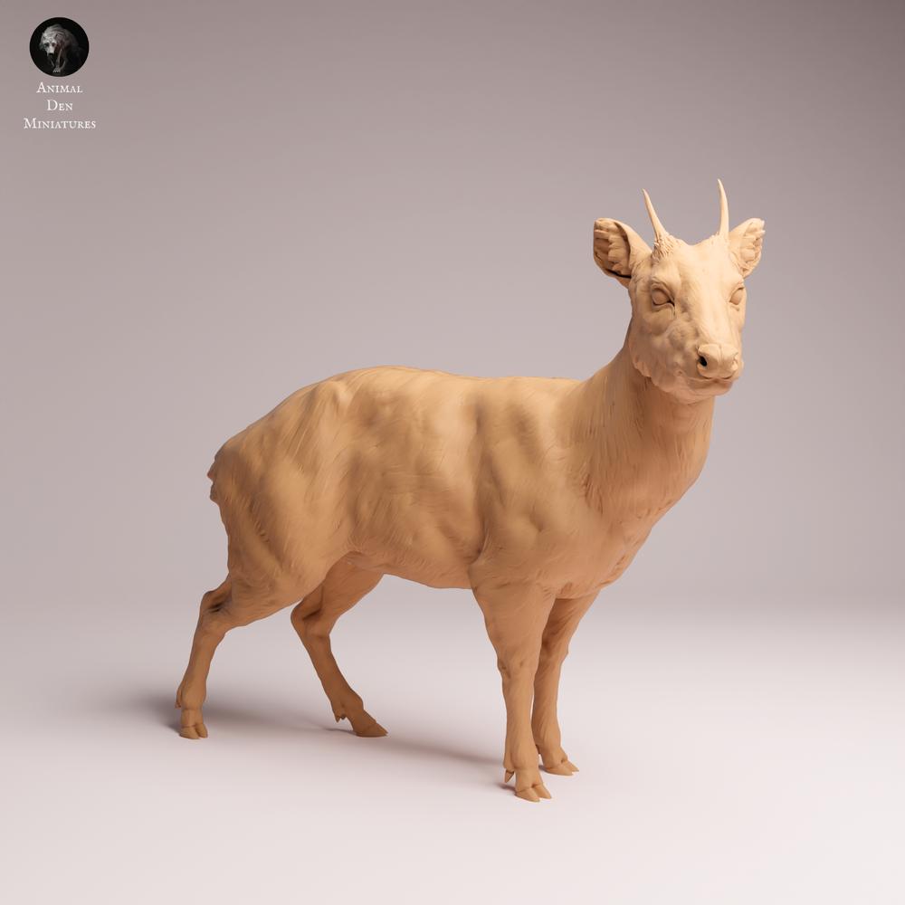 Photo de produit Tabletop 28mm Lord of the Print (LotP) 2 : Figurine animale : Pudu - debout (26_01_09)