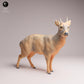 Photo de produit Tabletop 28mm Lord of the Print (LotP) 3 : Figurine d'animal sauvage : Pudu - debout (26_01_09)