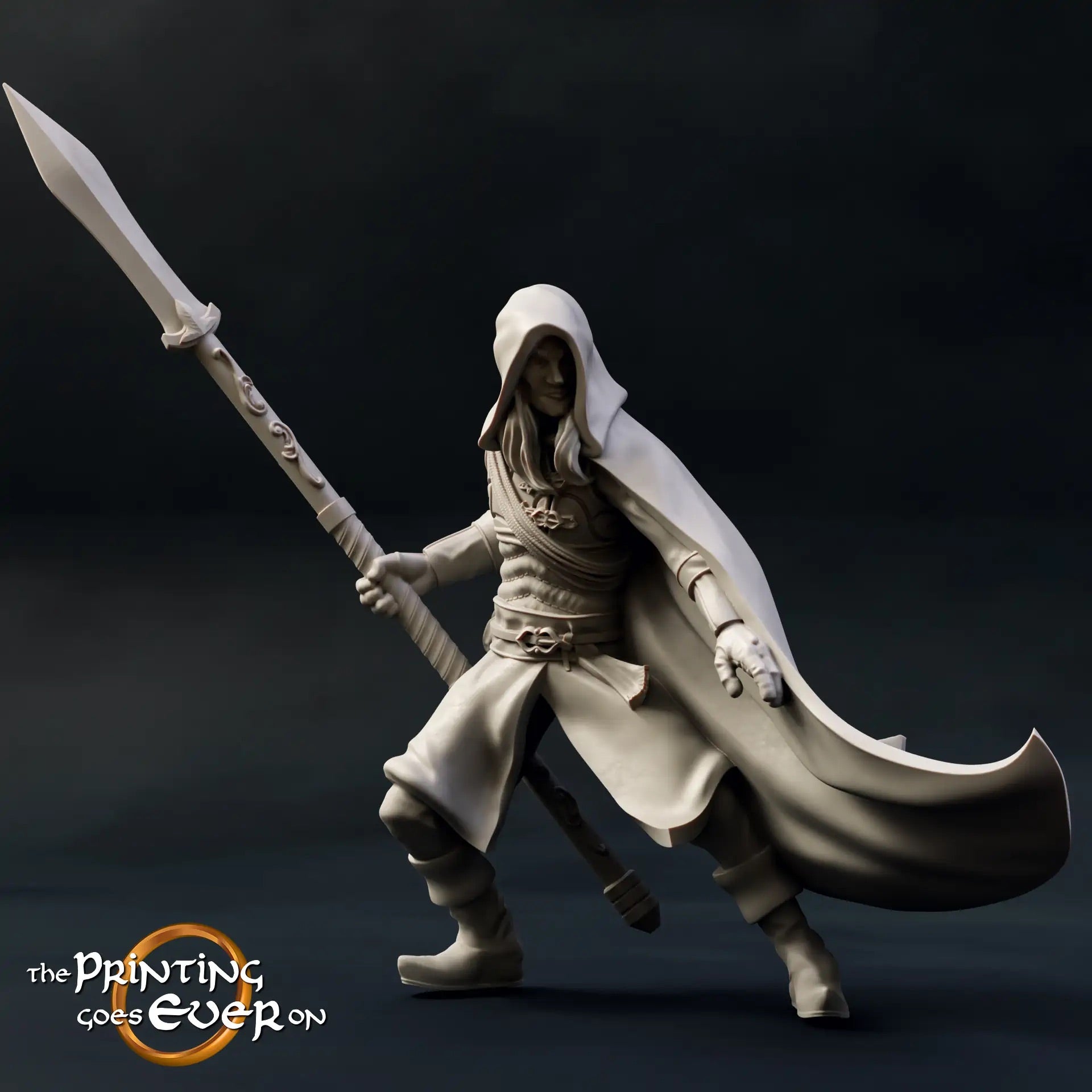 Photo de produit Tabletop 28mm The Printing Goes Ever On (TPGEO) 0 : Elfes des forêts : Courageux guerriers avec lance, épée et arc