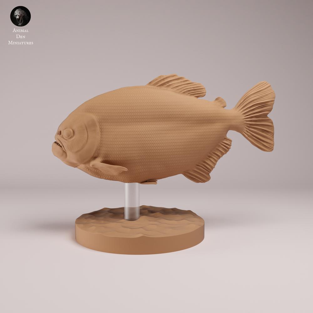 Photo produit figurine animale Animal Den Miniatures 0 : poisson : piranha rouge au ventre rouge (26_08_01)