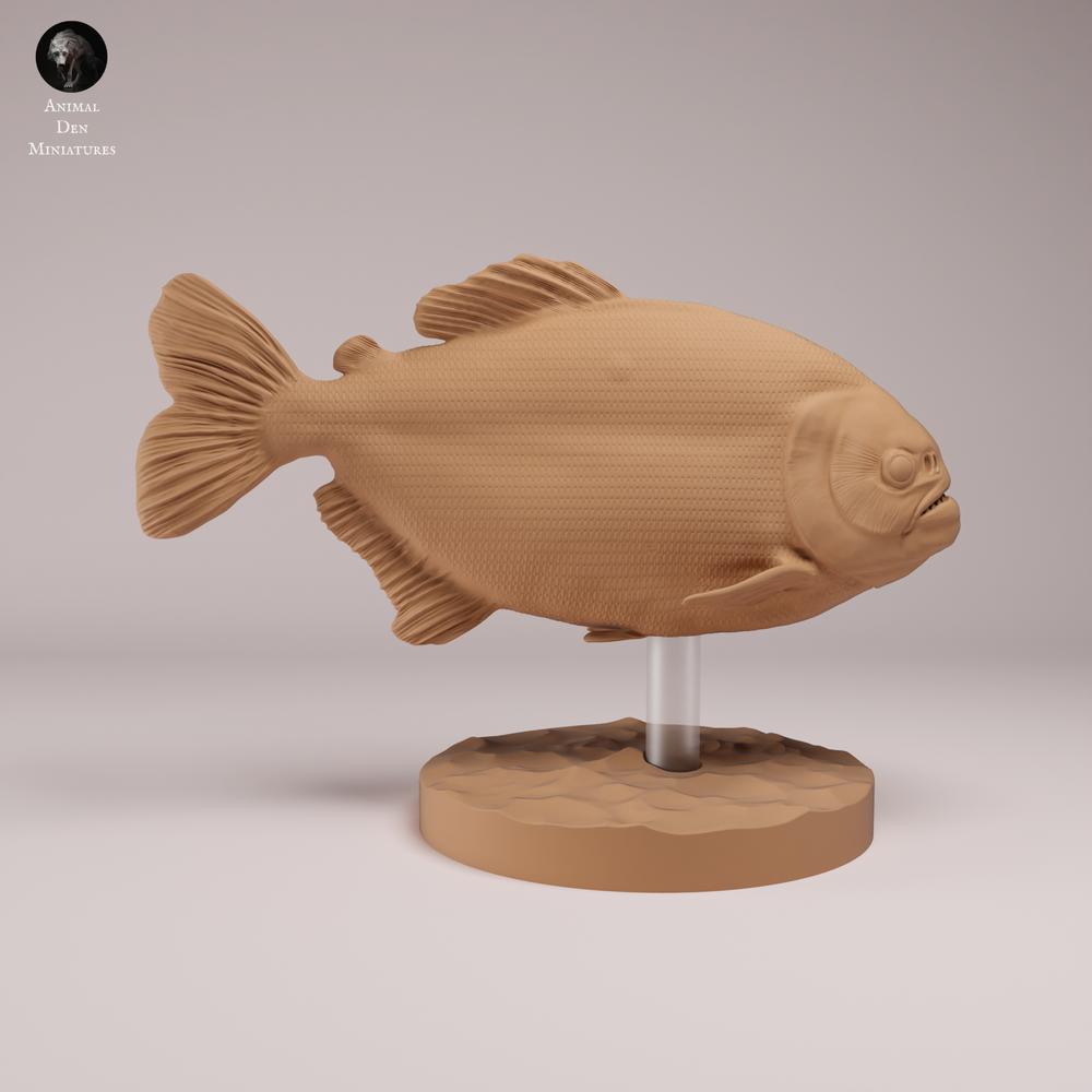 Photo de produit figurine animale Animal Den Miniatures 1 : poisson : piranha rouge à ventre rouge (26_08_01)