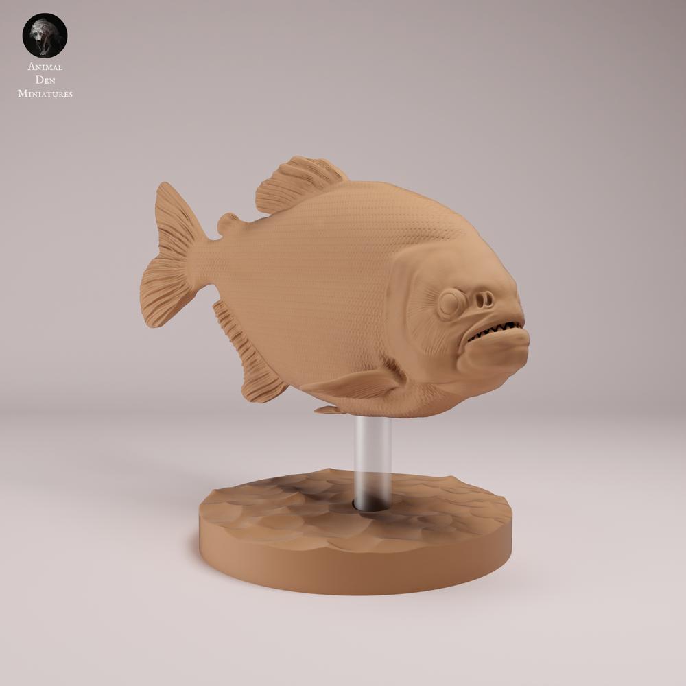 Photo produit figurine animale Animal Den Miniatures 2 : Poisson figurine animale : piranha rouge au ventre rouge (26_08_01)