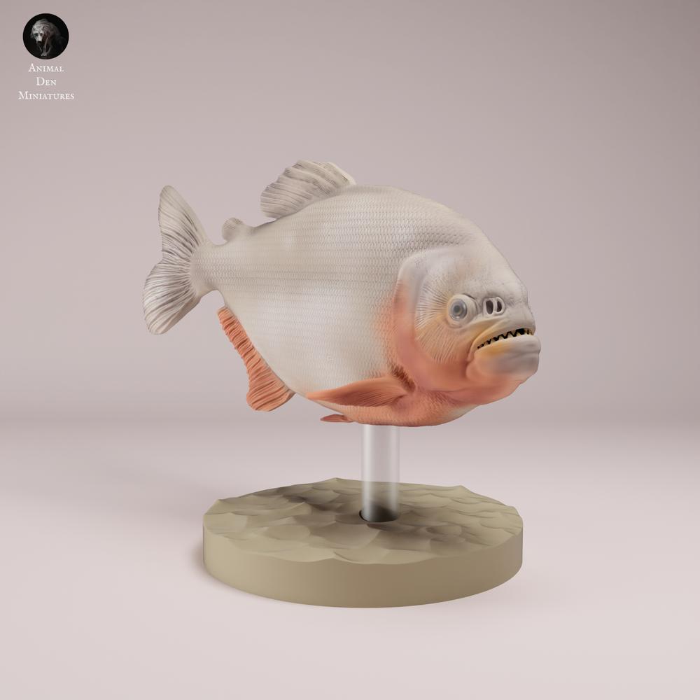 Photo produit figurine animale Animal Den Miniatures 3 : poisson : piranha rouge au ventre rouge (26_08_01)