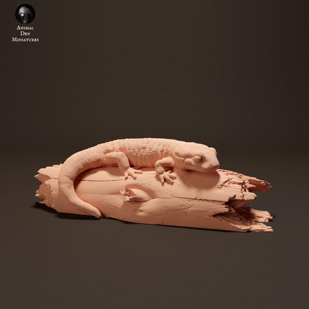Photo produit figurine animale Animal Den Miniatures 0 : Figurine animale de la forêt : salamandre tachetée (23_10_15)