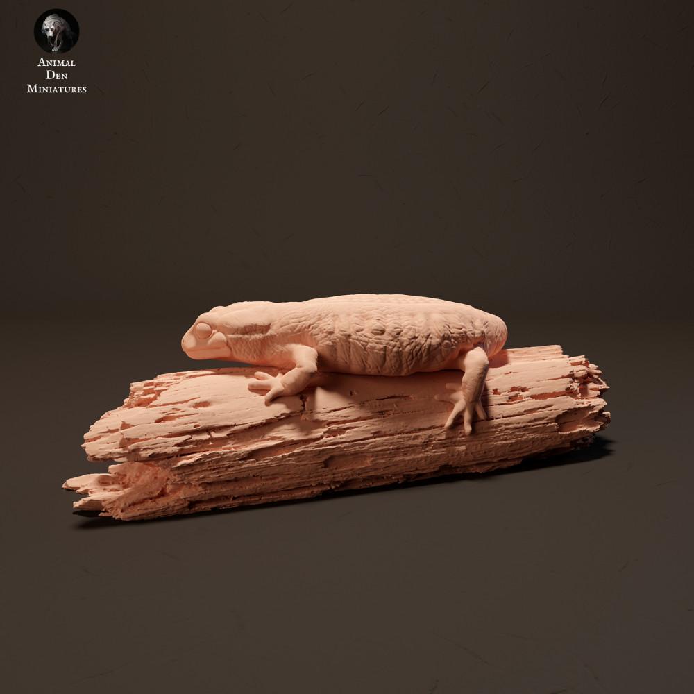 Photo produit figurine animale Animal Den Miniatures 1 : figurine d’animal de la forêt : salamandre tachetée (23_10_15)