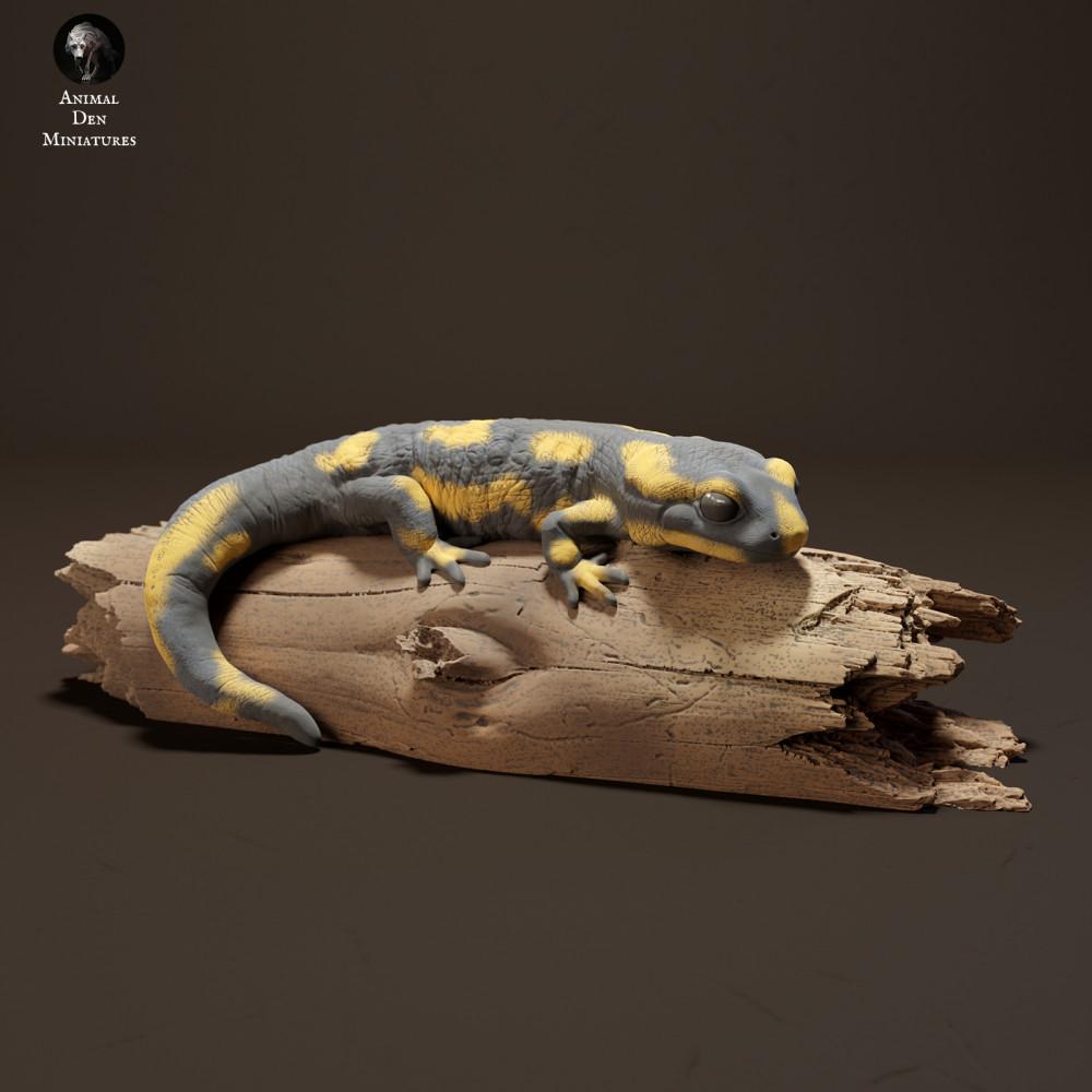 Photo produit figurine animale Animal Den Miniatures 2 : figurine d’animal forestier : salamandre tachetée (23_10_15)