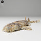 Photo produit figurine animale Animal Den Miniatures 2 : Animal marin Figurine animale : requin tapis tacheté (24_06_04)