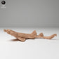 Photo produit figurine animale Animal Den Miniatures 0 : figurine d’animal marin : requin-tapis tacheté - en chasse (24_06_05)
