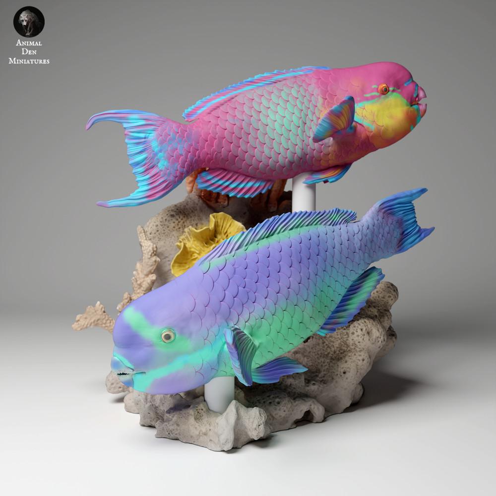 Photo produit figurine animale Animal Den Miniatures 2 : figurine d’animal marin : poisson-perroquet à tête raide (24_05_01)