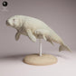 Photo du produit Tabletop 28mm Lord of the Print (LotP) 3 : figurine animale de mammifère marin : vache marine de Steller - avec son petit (26_04_06)