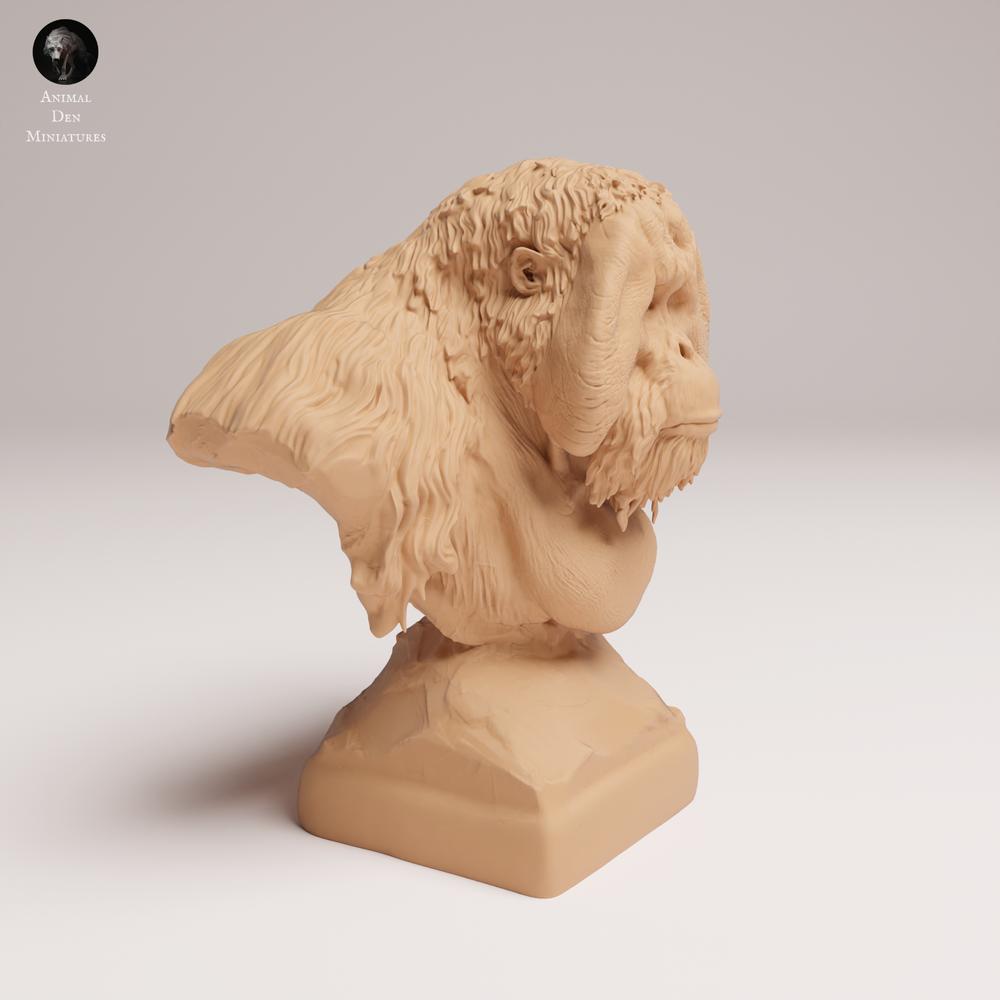 Photo du produit 0 : Figurine d’animal sauvage : orang-outan de Sumatra - buste (25_03_04)