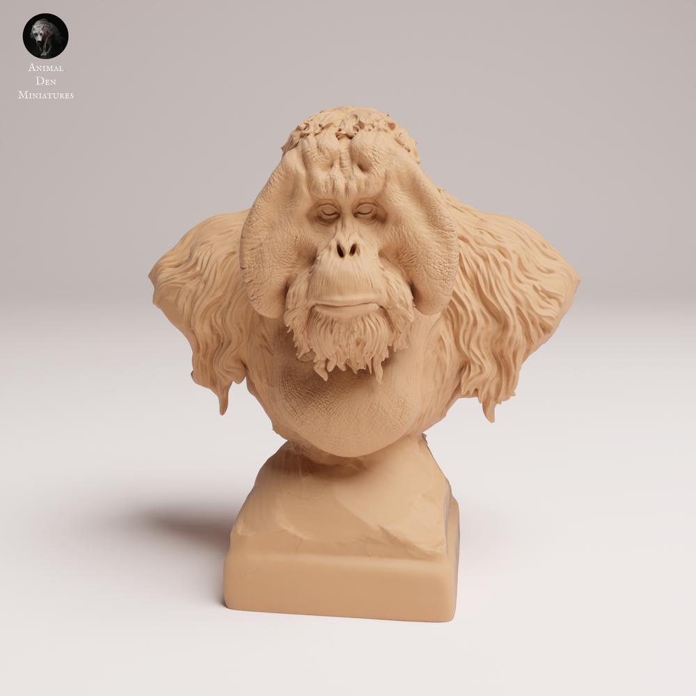 Photo produit 1 : Figurine d’animal sauvage : Orang-outan de Sumatra - Buste (25_03_04)
