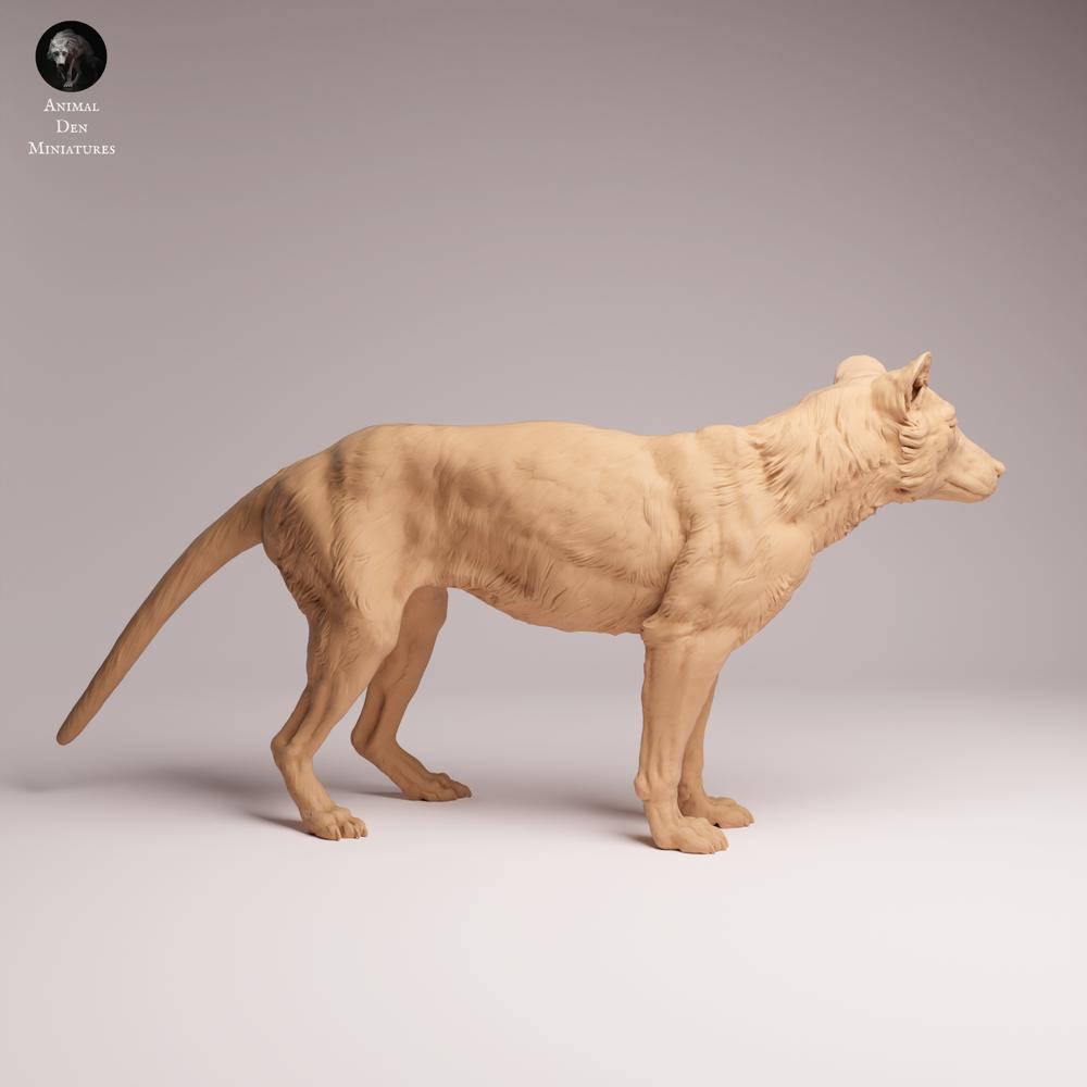 Photo du produit Tabletop 28mm Lord of the Print (LotP) 0 : figurine animalière sauvage : tigre de Tasmanie debout (26_04_10)