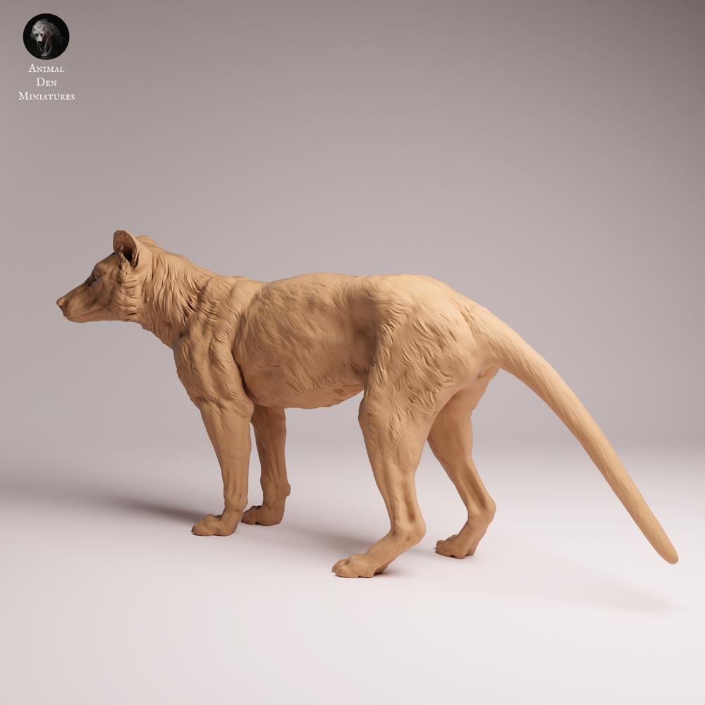 Photo du produit Tabletop 28mm Lord of the Print (LotP) 1 : figurine d’animal sauvage : thylacine (tigre de Tasmanie) - debout (26_04_10)
