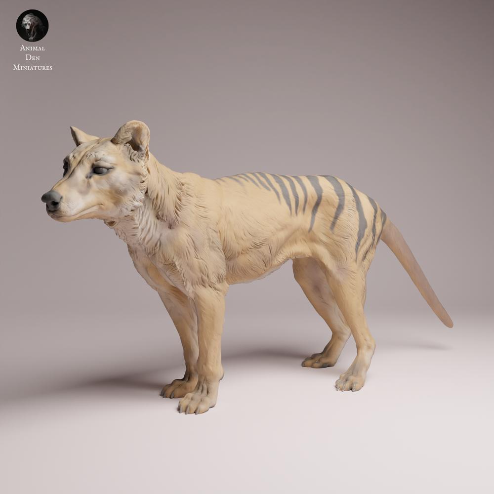 Photo du produit Tabletop 28mm Lord of the Print (LotP) 3 : figurine d’animal sauvage : thylacine (tigre de Tasmanie) - debout (26_04_10)