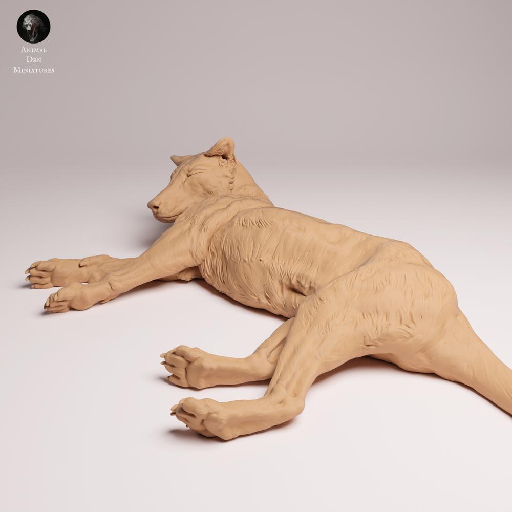 Photo du produit Tabletop 28mm Lord of the Print (LotP) 0 : figurine d’animal sauvage : tigre de Tasmanie - couché (26_04_07)