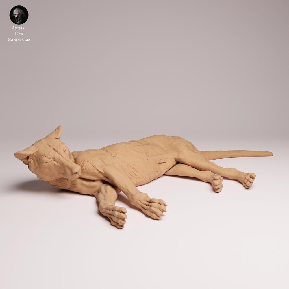 Photo du produit Tabletop 28mm Lord of the Print (LotP) 2 : figurine animalière de faune sauvage : tigre de Tasmanie couché (26_04_07)
