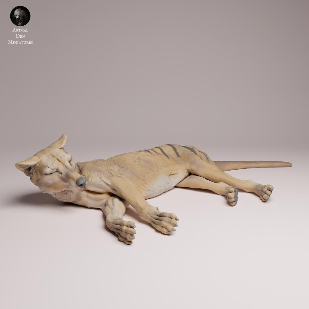 Photo du produit Tabletop 28mm Lord of the Print (LotP) 3 : figurine animale sauvage : tigre de Tasmanie couché (26_04_07)