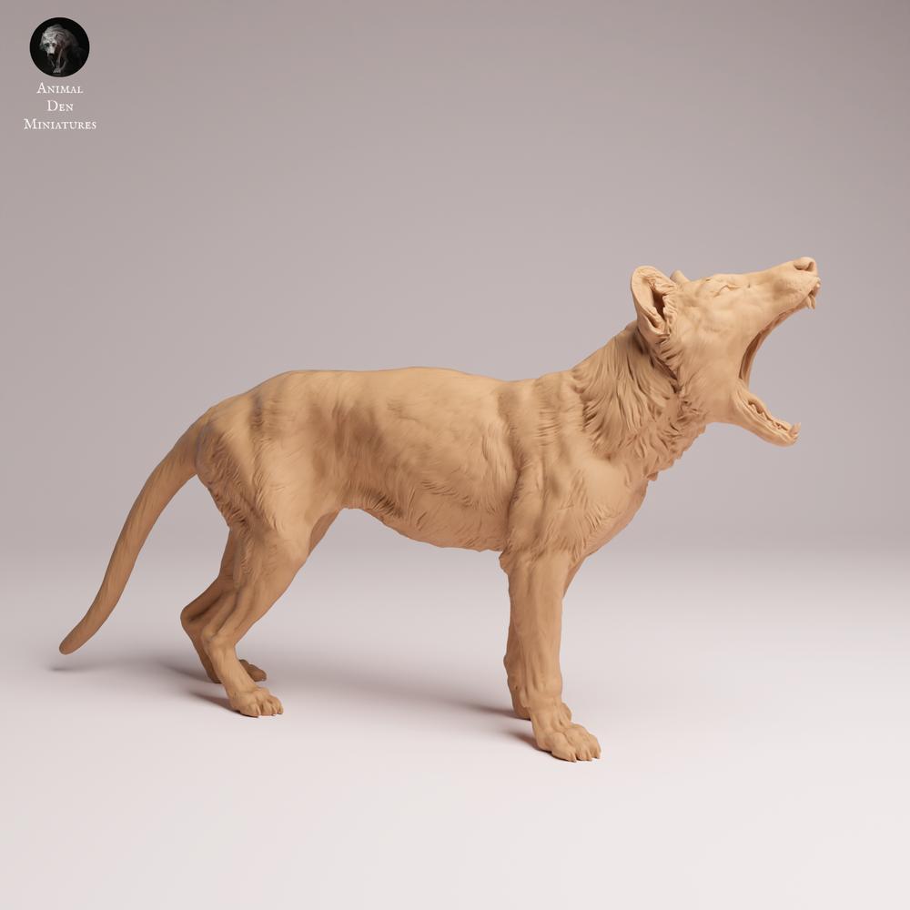 Photo du produit Tabletop 28mm Lord of the Print (LotP) 0 : figurine d’animal sauvage : thylacine (tigre de Tasmanie) - bâillant (26_04_09)