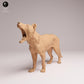 Photo du produit Tabletop 28mm Lord of the Print (LotP) 1 : figurine d’animal sauvage : thylacine (tigre de Tasmanie) - bâillant (26_04_09)